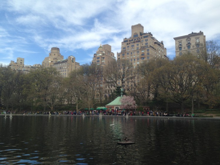 View from Central Park