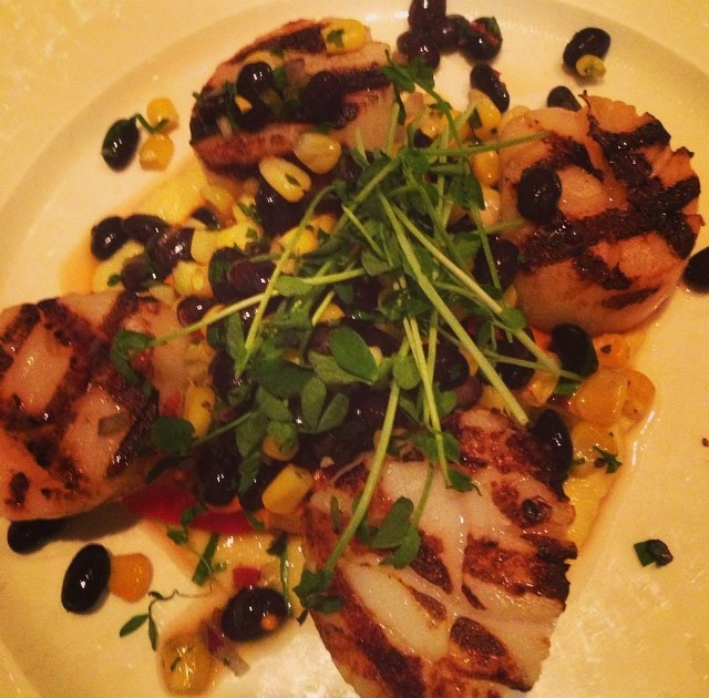 Maine Dayboat Scallops