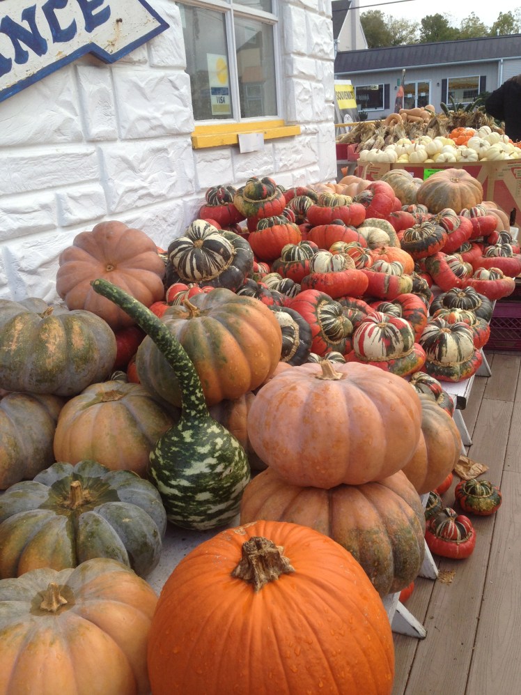 Look how cute these pumpkins are :)